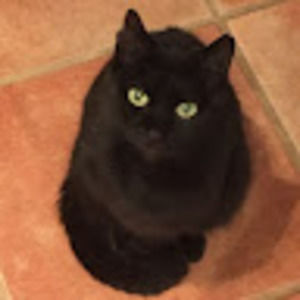 Meet your Posher, Stella